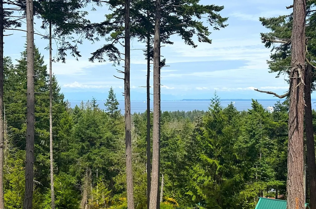 1-861 E BLUFF ROAD, Galiano Island BC V0N 1P0, Galiano Island BC — Residential for Sale - Photo 2