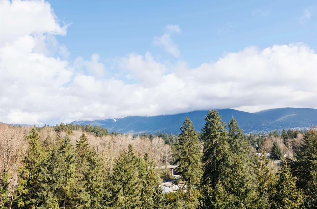 1001 2012 FULLERTON AVENUE, North Vancouver BC V7P 3E3, North Vancouver BC — Residential for Sale - Photo 4