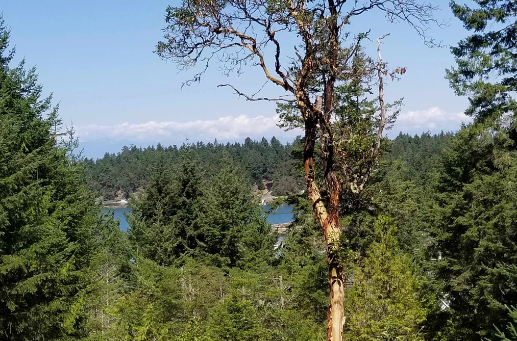 1001 ROBSON WAY, Galiano Island BC V0N 1P0, Galiano Island BC — Residential for Sale - Photo 3