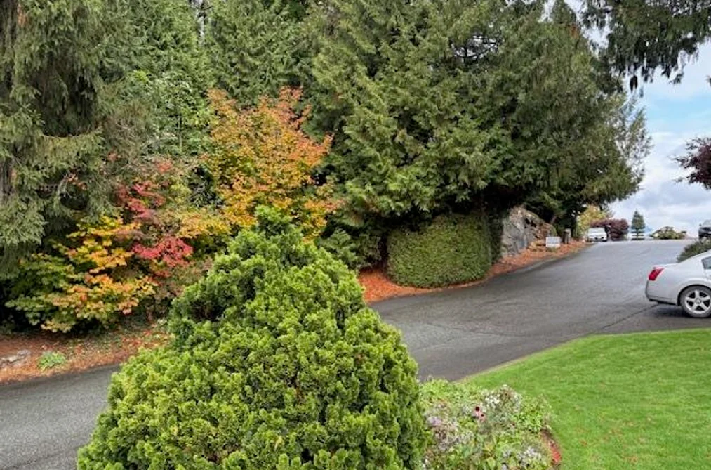 10035 TIMBERLINE PLACE, Chilliwack BC V2P 7N9, Chilliwack BC — Land for Sale - Photo 6
