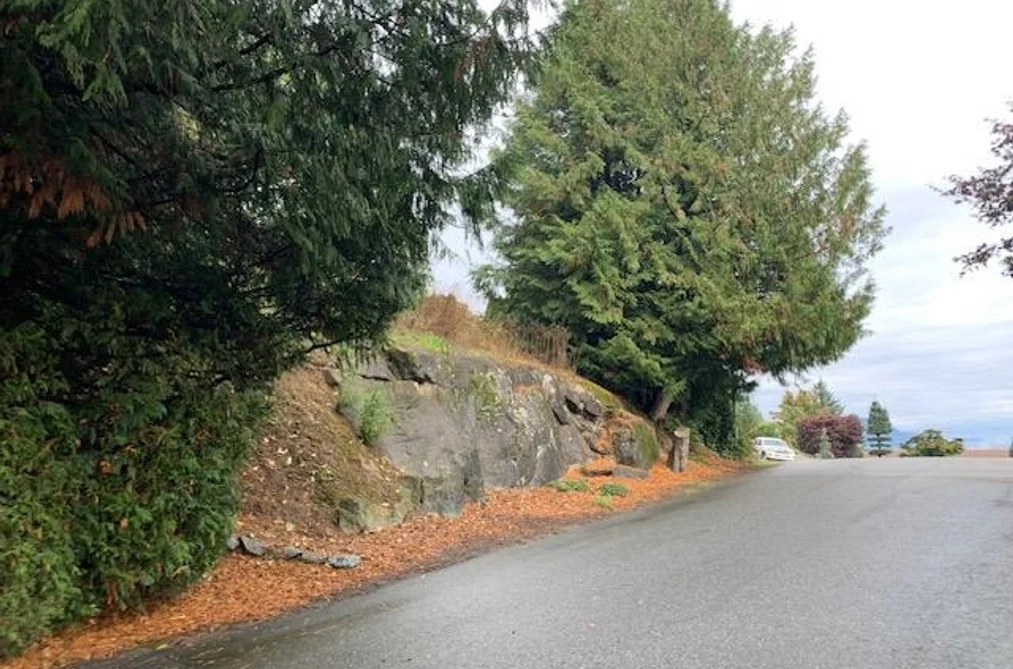 10035 TIMBERLINE PLACE, Chilliwack BC V2P 7N9, Chilliwack BC — Land for Sale - Photo 7