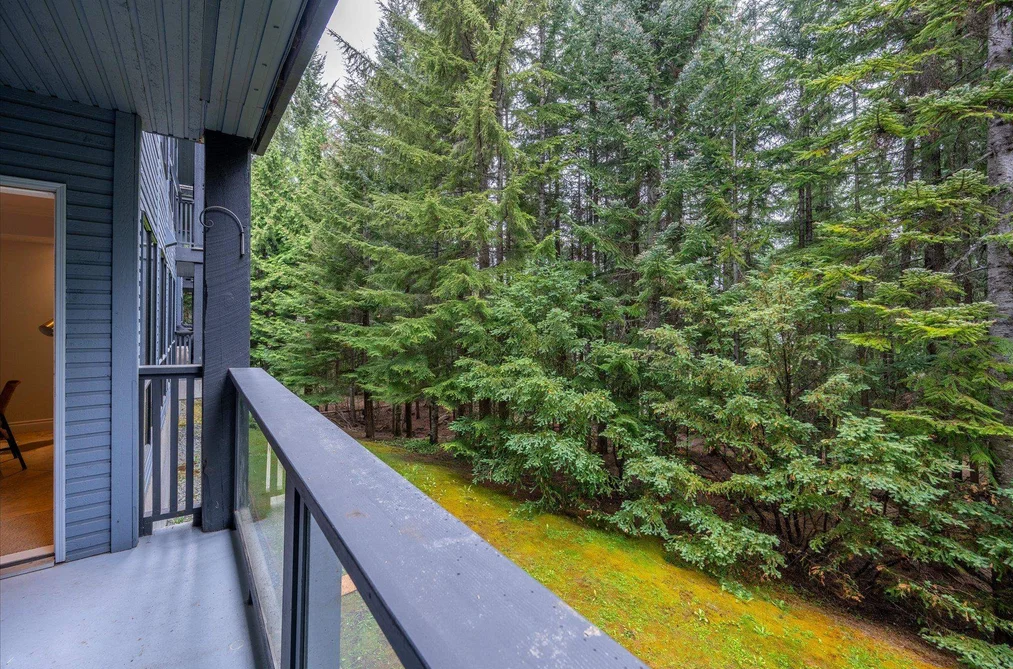 101 4821 SPEARHEAD DRIVE, Whistler BC V8E 1E8, Whistler BC — Residential for Sale — Photo 14 of 27