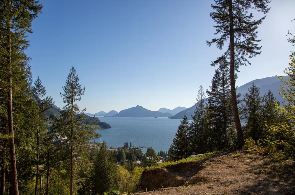 1010 QUARRY LANE, Squamish BC V8B 1J2, Squamish BC — Land for Sale - Photo 3