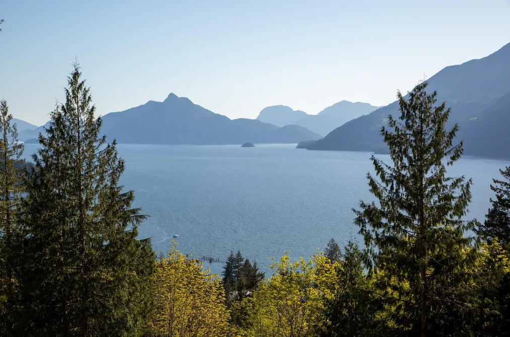 1010 QUARRY LANE, Squamish BC V8B 1J2, Squamish BC — Land for Sale - Photo 4