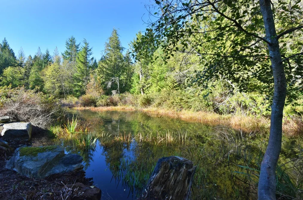 10113 10131 MERCER ROAD, Halfmoon Bay BC V7Z 1B7, Halfmoon Bay BC — Residential for Sale - Photo 7