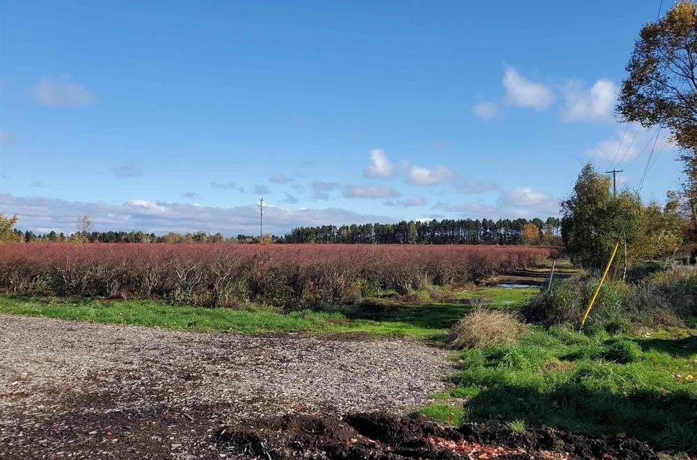 10133 FRANCIS ROAD, Richmond BC V6Y 4H8, Richmond BC — Land for Sale - Photo 5