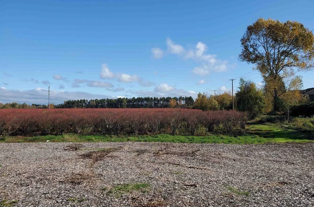 10133 FRANCIS ROAD, Richmond BC V6Y 4H8, Richmond BC — Land for Sale - Photo 7