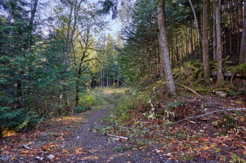 1017 COPPER DRIVE, Britannia Beach BC V8B 1J2, Britannia Beach BC — Land for Sale - Photo 2