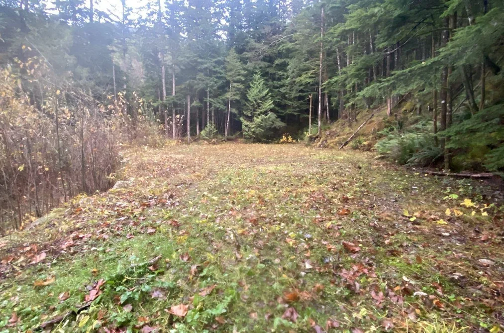1017 COPPER DRIVE, Britannia Beach BC V8B 1J2, Britannia Beach BC — Land for Sale - Photo 3