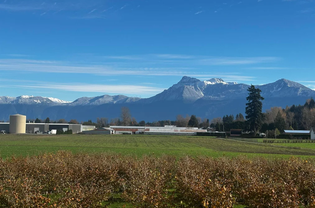 Property for sale at 10254 Wedgewood Drive Chilliwack British Columbia - MLS: R3079040
