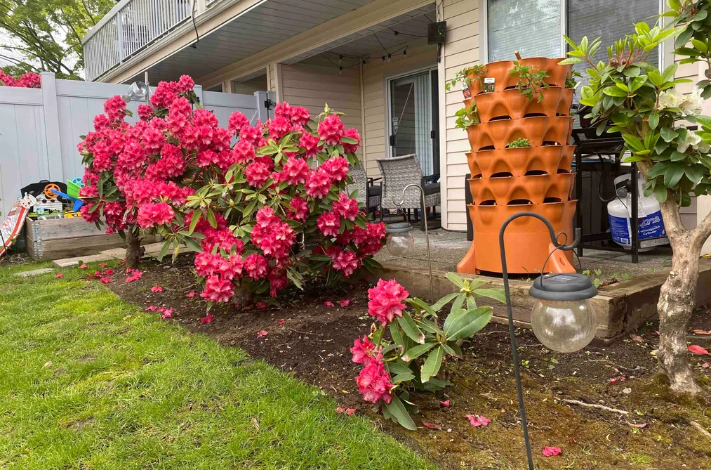 Condo for sale at 103 9299 121 Street Surrey British Columbia - MLS: R3099107