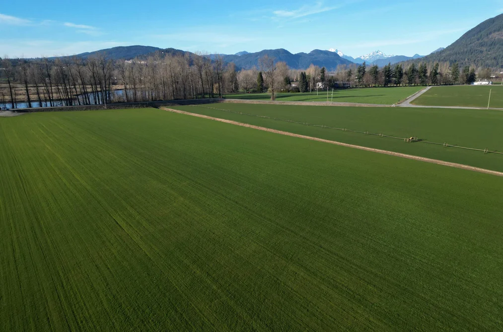 103AC HYDE BUKER ROAD, Mission BC V0M 1H0, Mission BC — Land for Sale - Photo 6