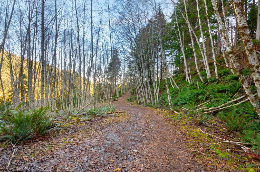 1049 GRAFTON ROAD, Bowen Island BC V0N 1G2, Bowen Island BC — Land for Sale - Photo 2