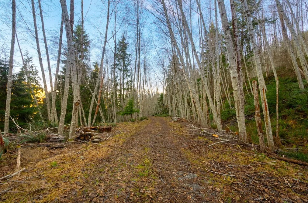 1049 GRAFTON ROAD, Bowen Island BC V0N 1G2, Bowen Island BC — Land for Sale - Photo 3