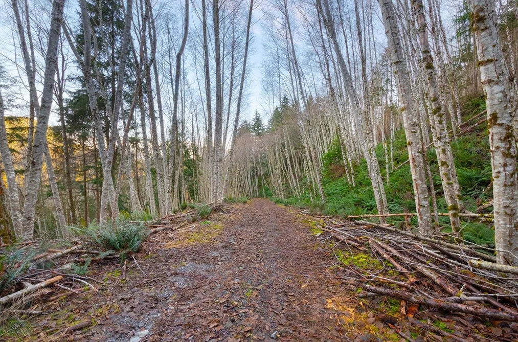 1049 GRAFTON ROAD, Bowen Island BC V0N 1G2, Bowen Island BC — Land for Sale - Photo 6