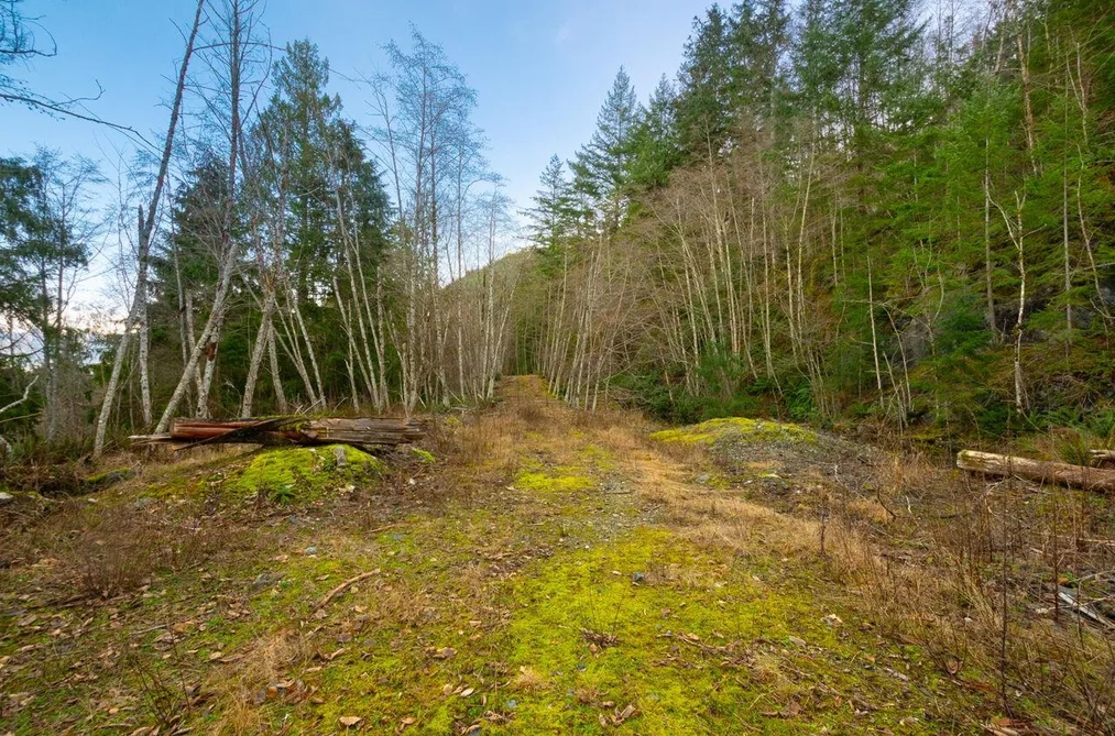 1049 GRAFTON ROAD, Bowen Island BC V0N 1G2, Bowen Island BC — Land for Sale - Photo 7