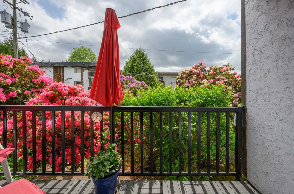 105 123 E 19TH STREET, North Vancouver BC V7L 2Y9, North Vancouver BC — Residential for Sale - Photo 3