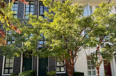548 Foster Ave Unit 105, Coquitlam, BC - MLS: R3147500