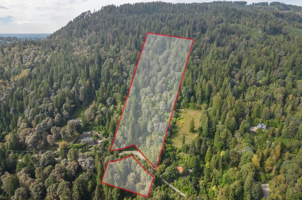 10545 STAVE LAKE ROAD, Mission BC V2V 0B5, Mission BC — Land for Sale - Photo 2