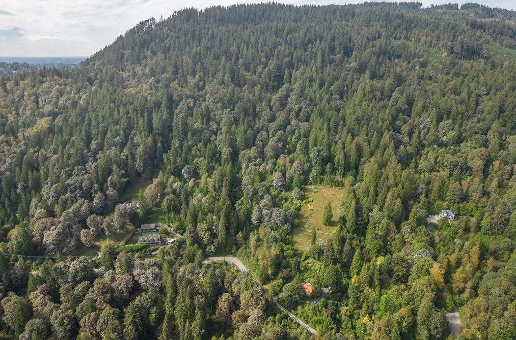 10545 STAVE LAKE ROAD, Mission BC V2V 0B5, Mission BC — Land for Sale - Photo 6