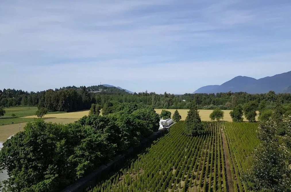 10555 REEVES ROAD, Chilliwack BC V2P 6H4, Chilliwack BC — Residential for Sale - Photo 3