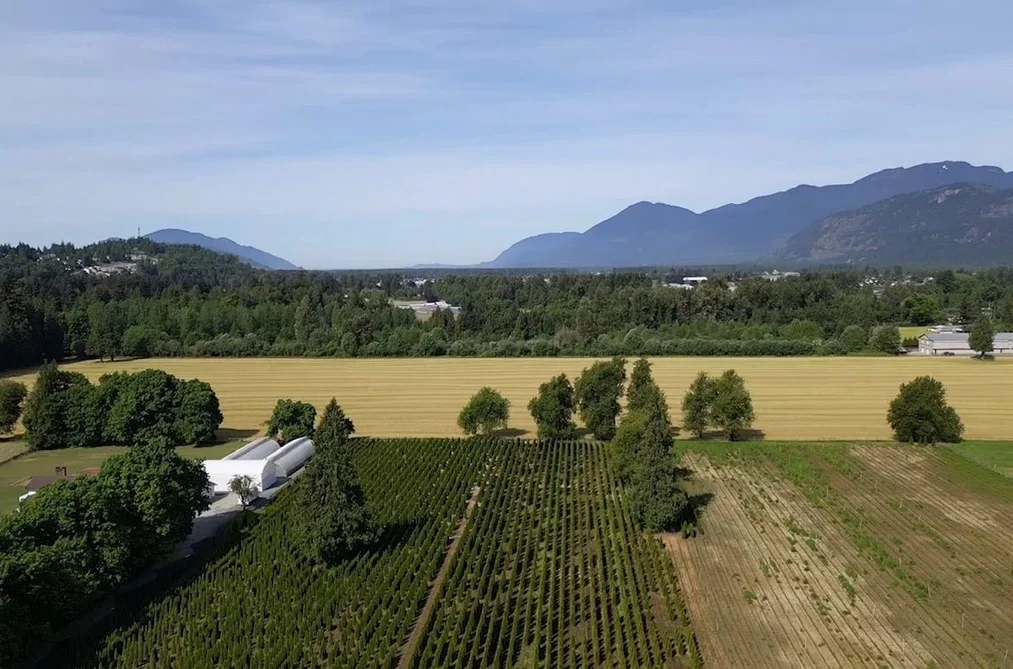 10555 REEVES ROAD, Chilliwack BC V2P 6H4, Chilliwack BC — Residential for Sale - Photo 5