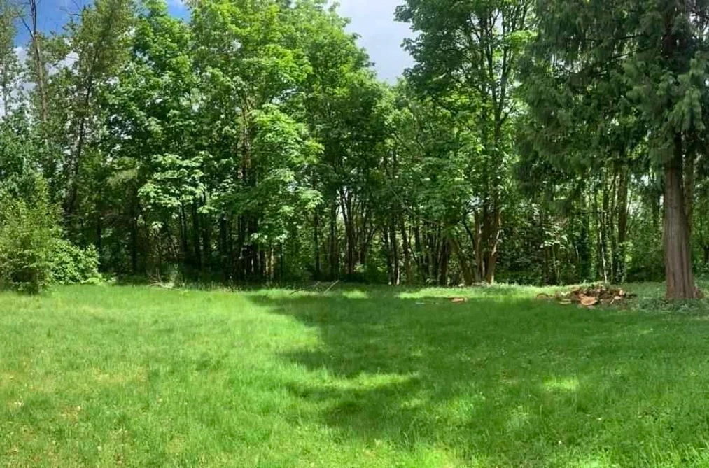 10610 SALISBURY DRIVE, Surrey BC V4N 1N1, Surrey BC — Residential for Sale - Photo 3