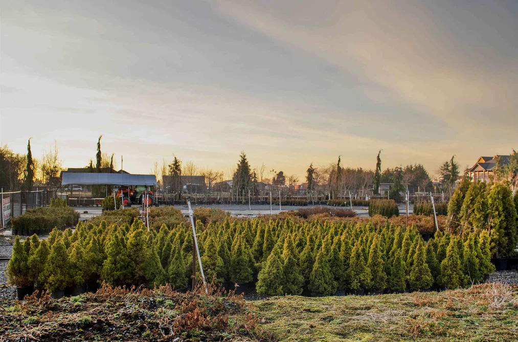 10641 LADNER TRUNK ROAD, Delta BC V4G 1K2, Delta BC — Residential for Sale - Photo 7