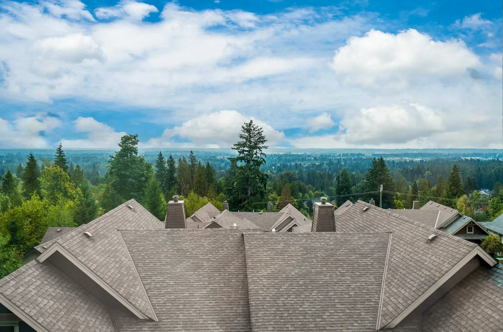 107 - 3458 Burke Village Promenade, Coquitlam, BC - MLS: R3165390 - Photo 2