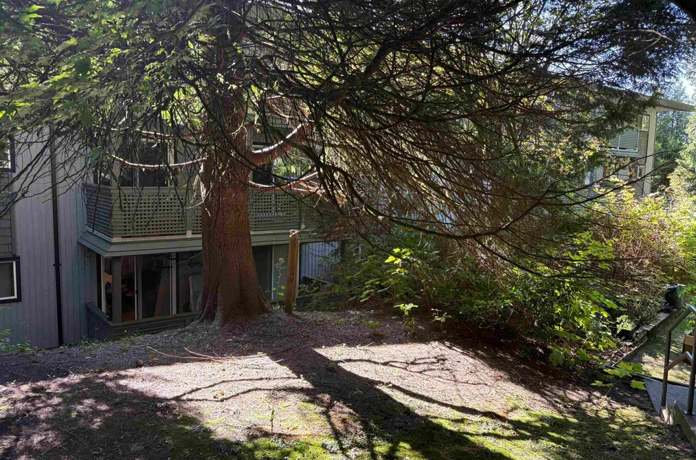 108 200 WESTHILL PLACE, Port Moody BC V3H 1V2, Port Moody BC — Residential for Sale - Photo 3