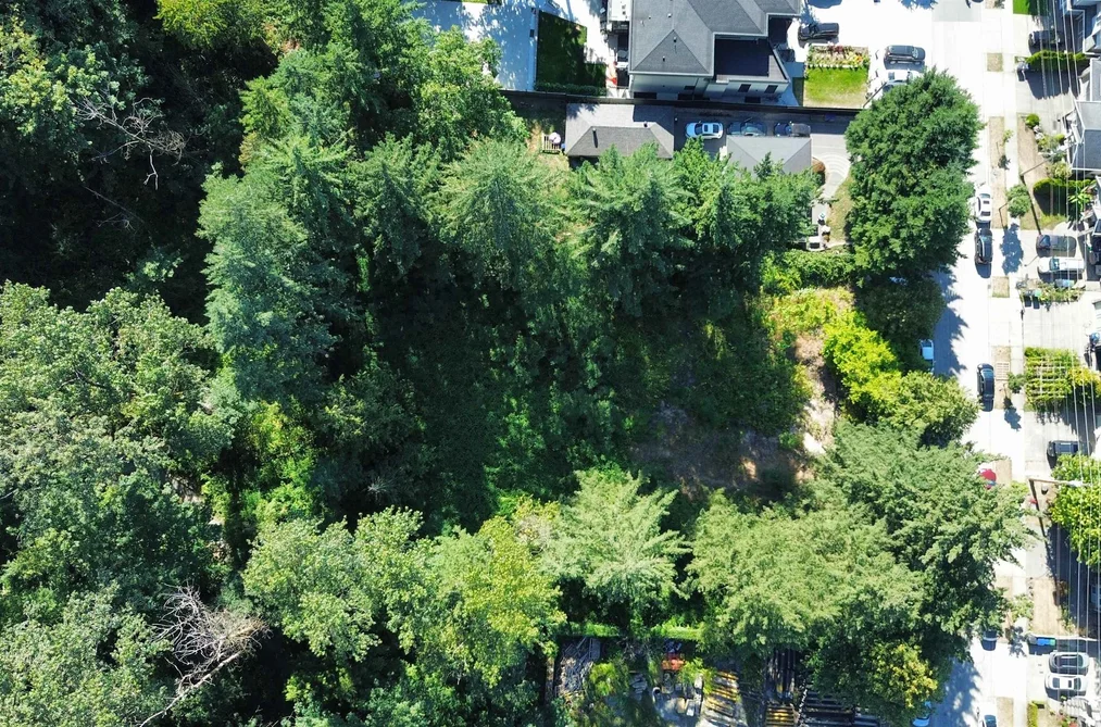10927 128A STREET, Surrey BC V3T 3G1, Surrey BC — Land for Sale - Photo 3