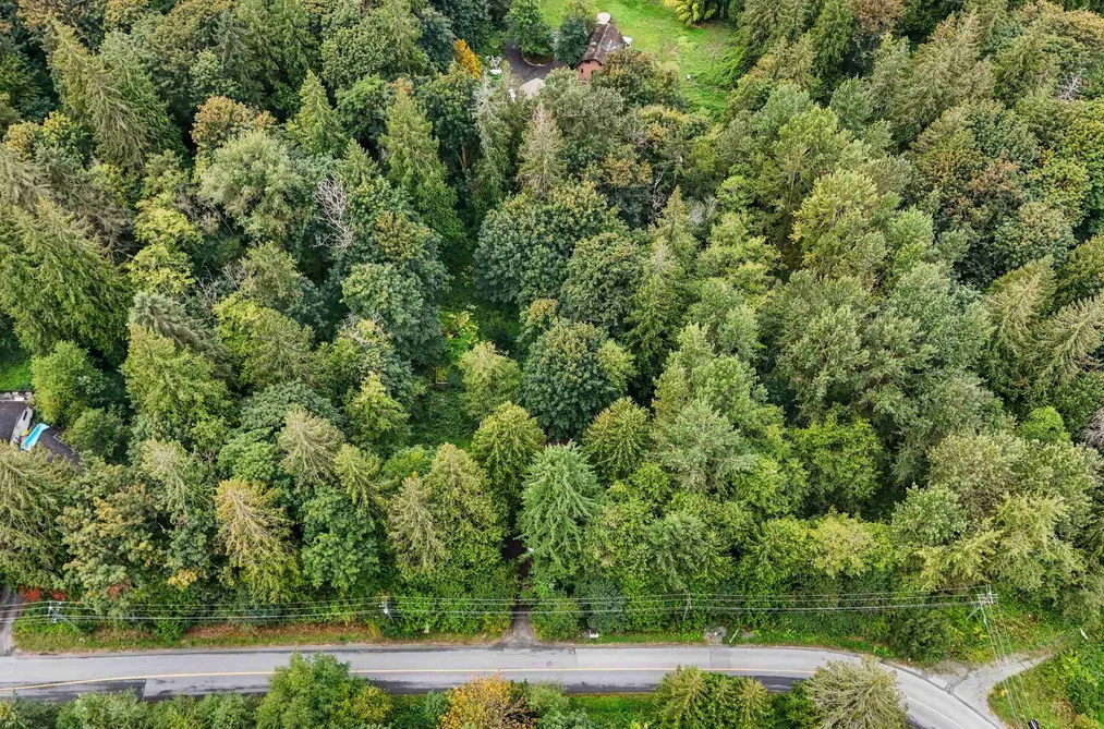 10941 249 STREET, Maple Ridge BC V2W 1Z7, Maple Ridge BC — Land for Sale - Photo 3