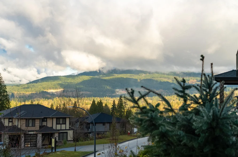 11000 CARMICHAEL STREET, Maple Ridge BC V2W 0H3, Maple Ridge BC — Residential for Sale - Photo 6