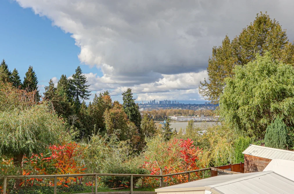 11031 RIVER ROAD, Delta BC V4C 2S3, Delta BC — Residential for Sale — Photo 3 of 38