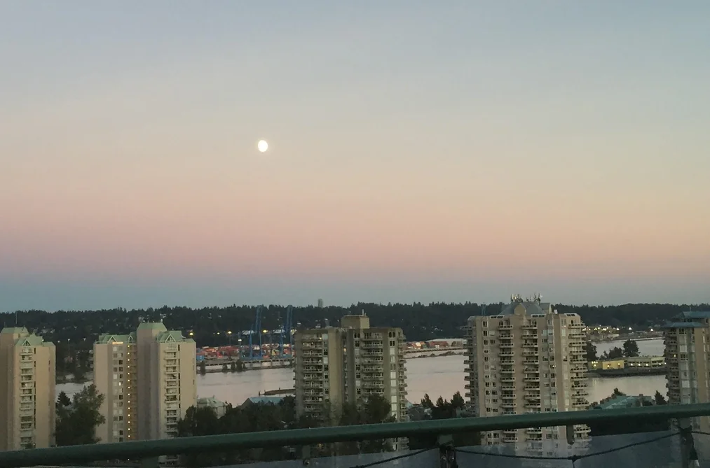 Condo for sale at 1105 1026 Queens Avenue New Westminster British Columbia - MLS: R3117790