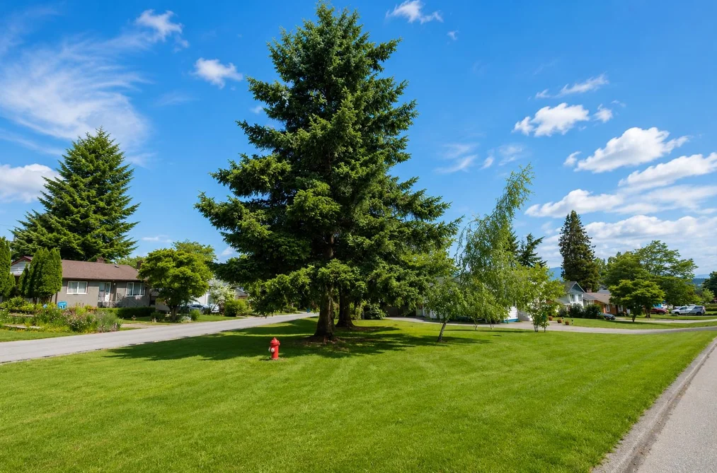 11063 135A STREET, Surrey BC V3R 3A6, Surrey BC — Residential for Sale — Photo 24 of 28
