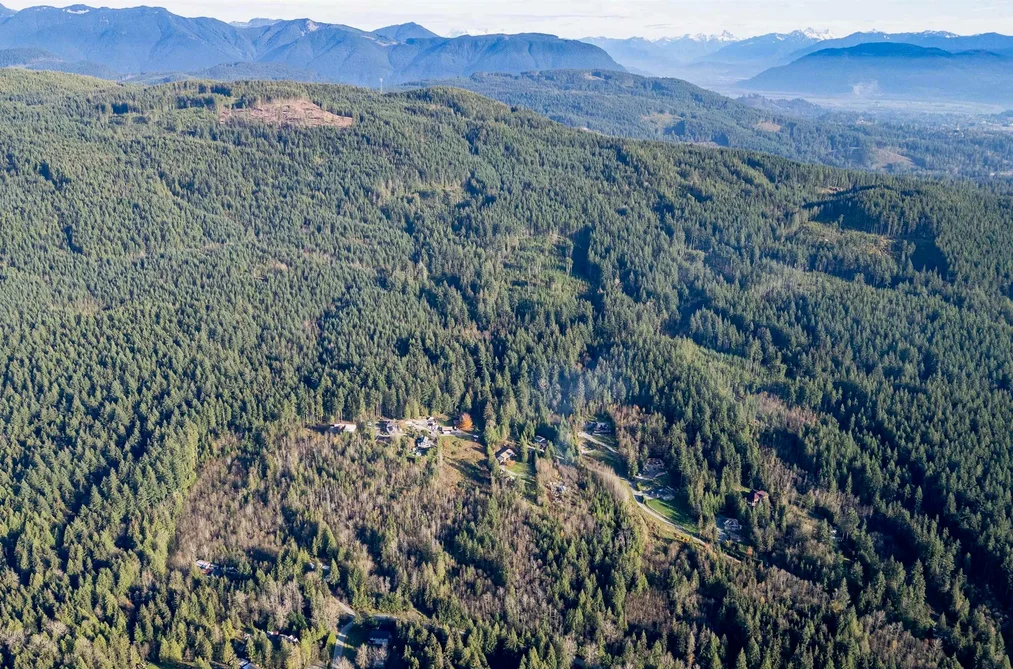 11082 GREENWOOD DRIVE, Mission BC V4S 1A9, Mission BC — Land for Sale - Photo 5