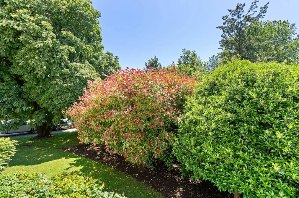 111 1341 GEORGE STREET, White Rock BC V4B 4A1, White Rock BC — Residential for Sale — Photo 20 of 24