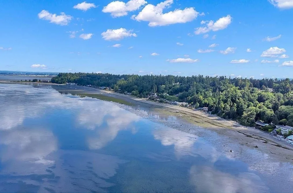 111 GRAHAM DRIVE, Delta BC V4M 2J4, Delta BC — Residential for Sale - Photo 5
