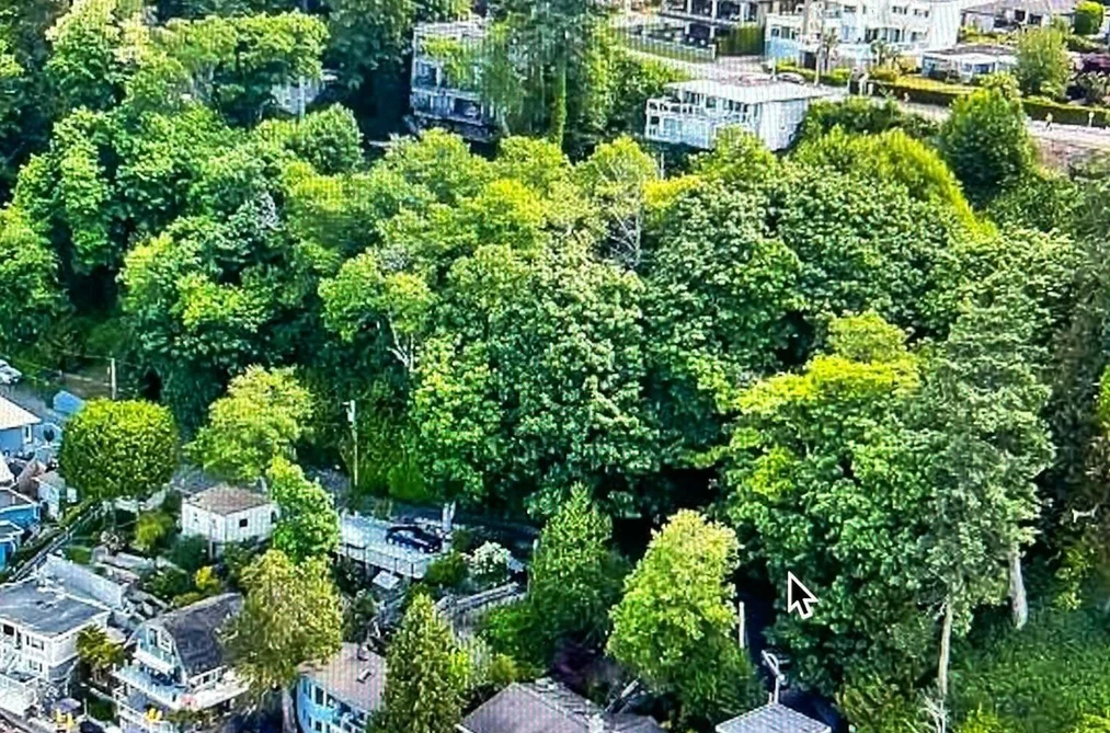 111 GRAHAM DRIVE, Delta BC V4M 2J4, Delta BC — Residential for Sale - Photo 6
