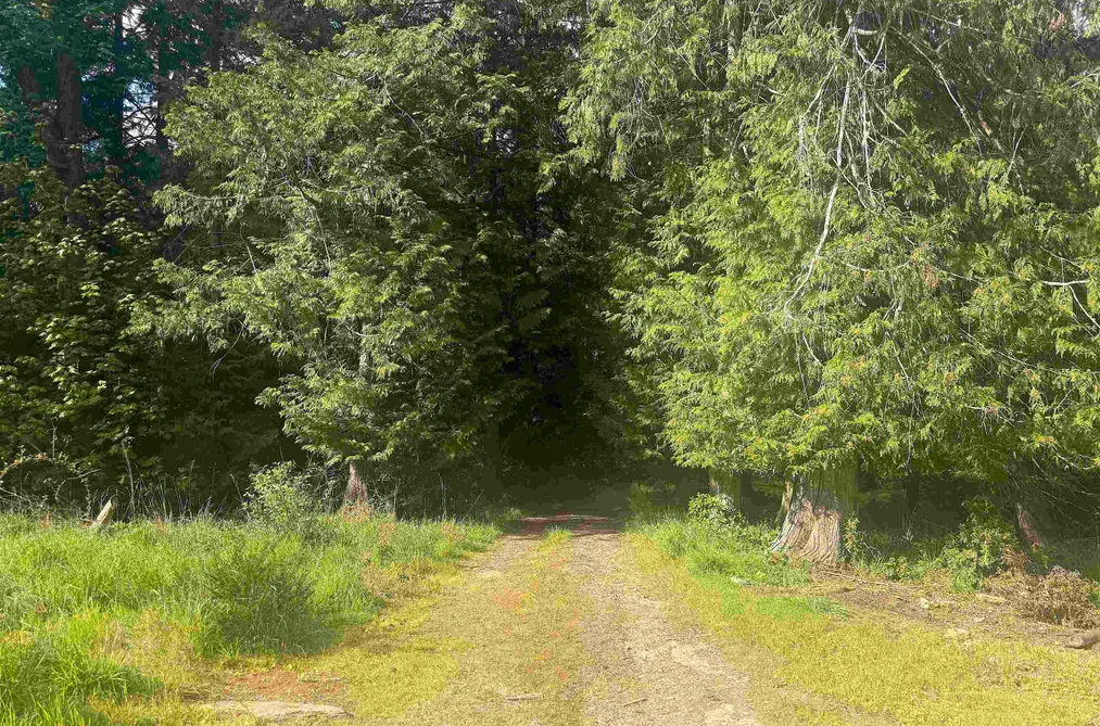 1114 BLUFF ROAD, Galiano Island BC V0N 1P0, Galiano Island BC — Residential for Sale - Photo 2