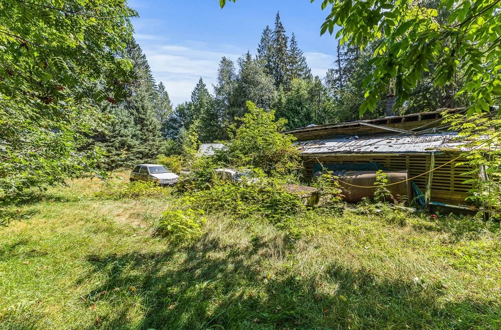 11167 284TH STREET, Maple Ridge BC V2W 1T9, Maple Ridge BC — Residential for Sale - Photo 4