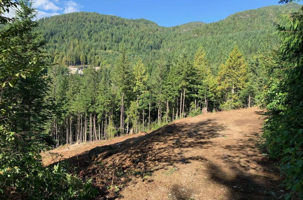 1121 COPPER DRIVE, Squamish BC V8B 1J2, Squamish BC — Land for Sale - Photo 7