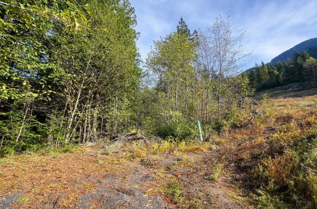 1125 COPPER DRIVE, Britannia Beach BC V8B 1J0, Britannia Beach BC — Land for Sale - Photo 5