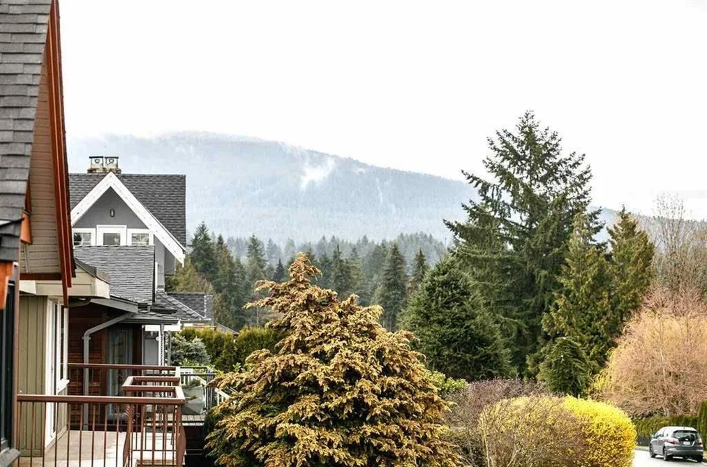 1132 Cloverley Street, North Vancouver, BC - MLS: R3163744 - Photo 4 1132 Cloverley Street, North Vancouver, BC - MLS: R3163744 - Photo 4