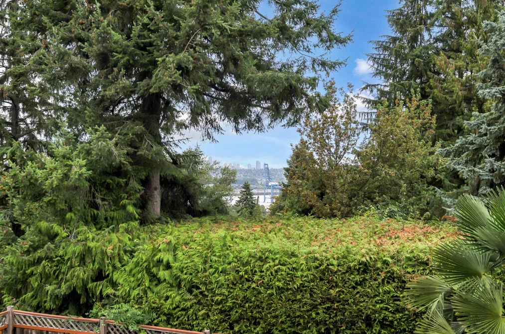11361 96 Avenue, Surrey, BC - MLS: R3164004 - Photo 39