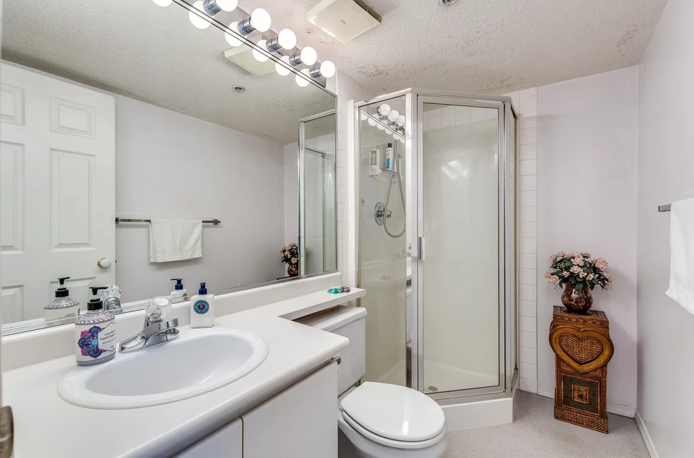 1143 O'FLAHERTY GATE, Port Coquitlam BC V3C 6H2, Port Coquitlam BC — Residential for Sale - Photo 4