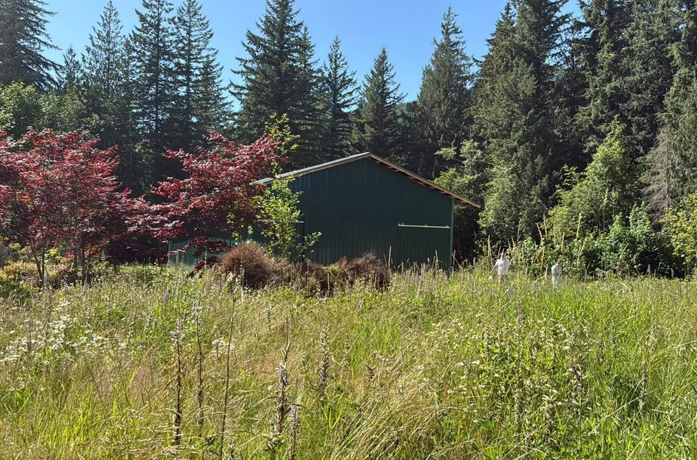 House for sale at 1153 Kosikar Road Columbia Valley British Columbia - MLS: R3108680