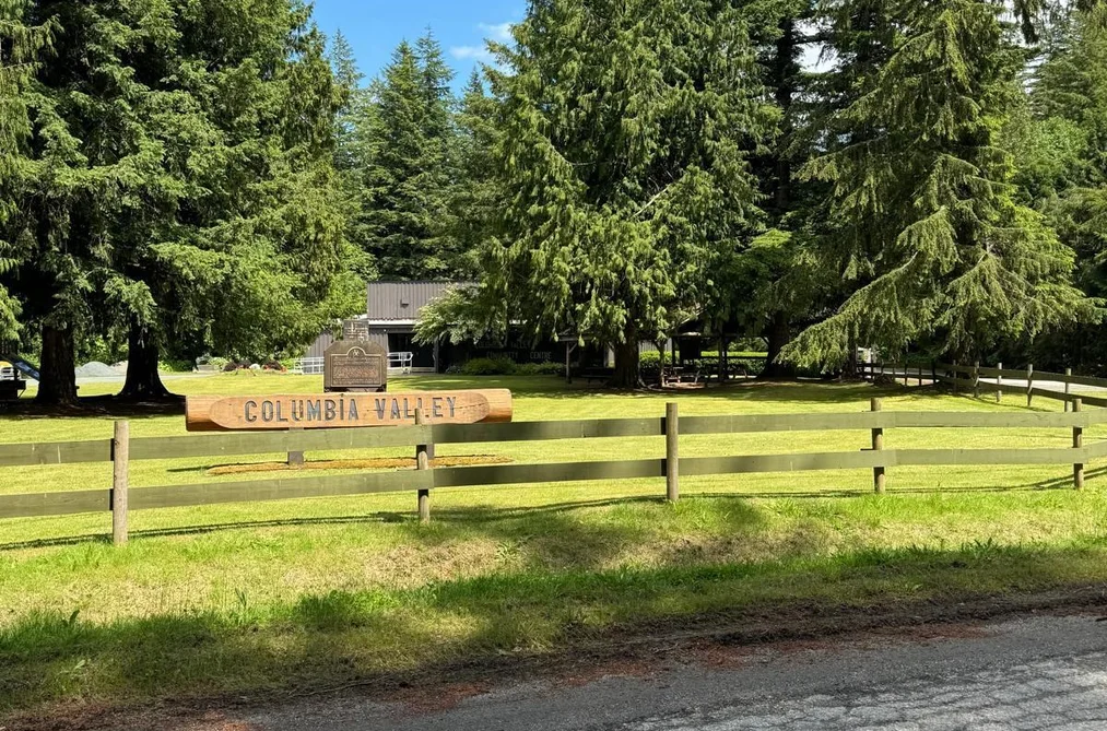 1153 KOSIKAR ROAD, Columbia Valley BC V2R 4X7, Columbia Valley BC — Residential for Sale - Photo 3