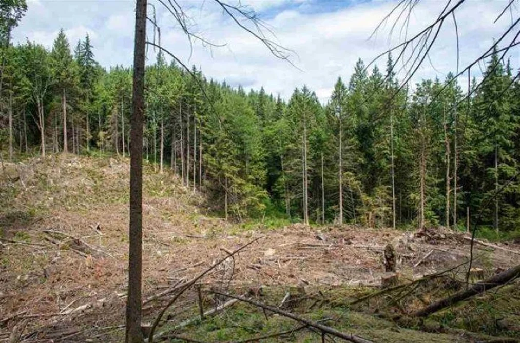 11533 WILSON STREET, Mission BC V4S 1M1, Mission BC — Land for Sale - Photo 2